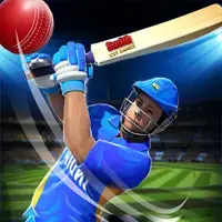 Cricket Challenge Game image