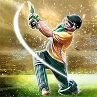 Cricket Match Game image