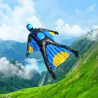 Free Flight Game image