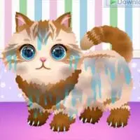 Pet Care game screenshot