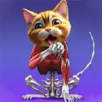 Animal Anatomy Game image