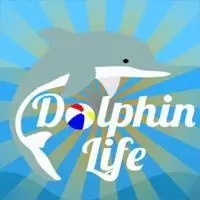 Dolphin Water Show game screenshot