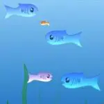 لعبة الاسماك فرنزى السمكة